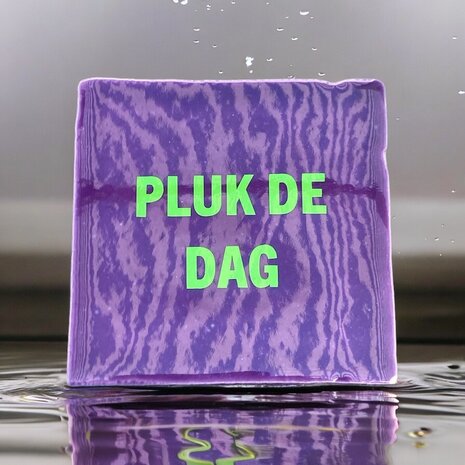 Pluk de dag