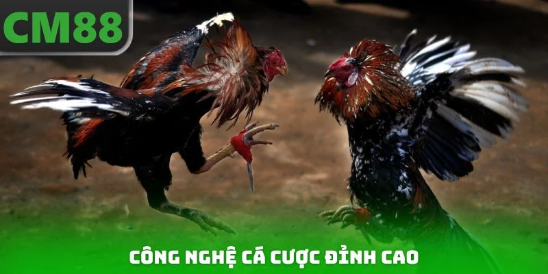 Công nghệ cá cược đỉnh cao