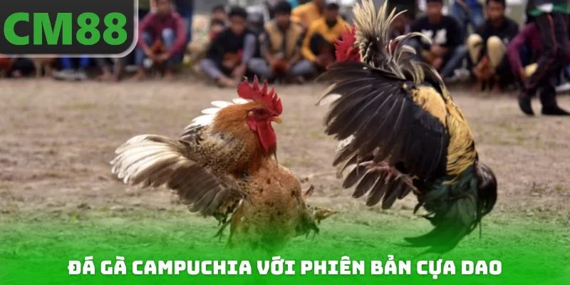 Đá gà Campuchia với phiên bản cựa dao