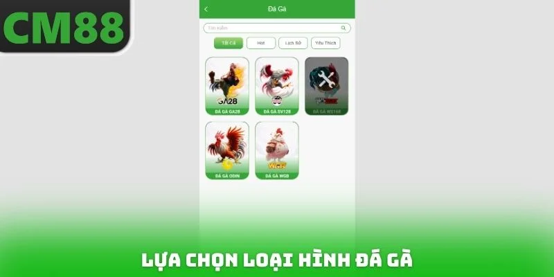 Lựa chọn loại hình đá gà
