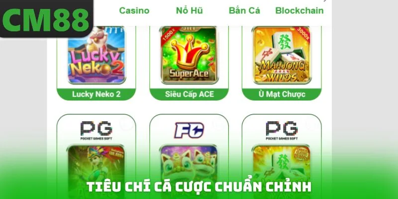 Tiêu chí cá cược chuẩn chỉnh
