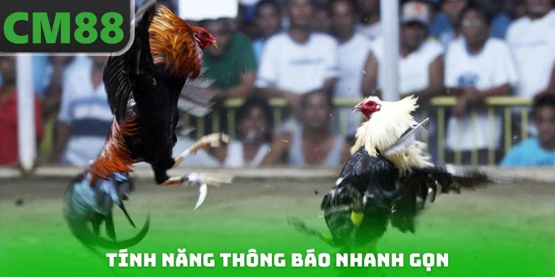 Tính năng thông báo nhanh gọn